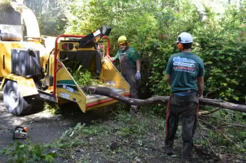 tree services Malaga